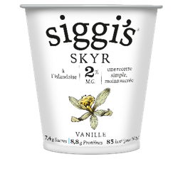 skyr : une tradition islandaise