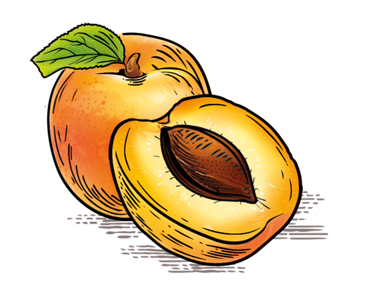 Informations nutritionnelles